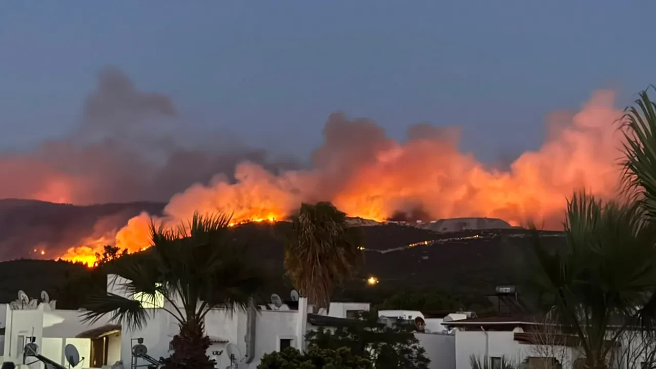 Muğla Milas'ta orman yangını! Otel ve sitedeki bin 120 kişi tahliye edildi
