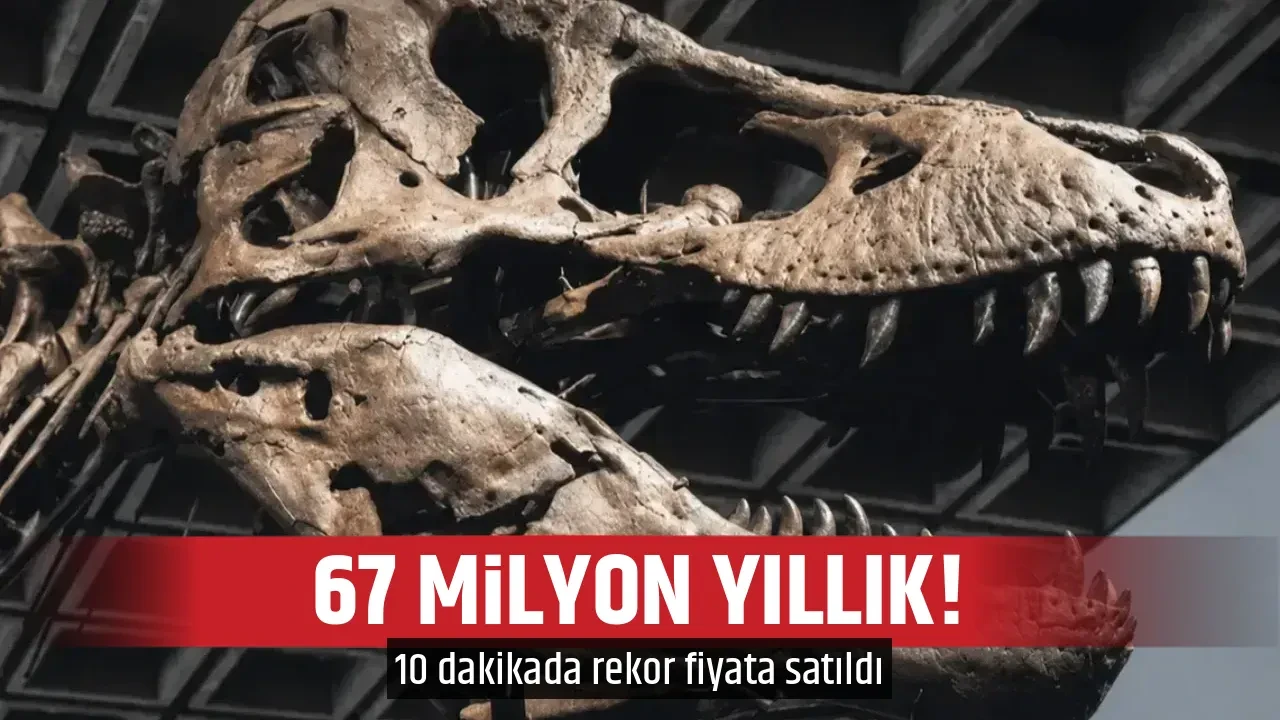 67 MİLYON YILLIK!