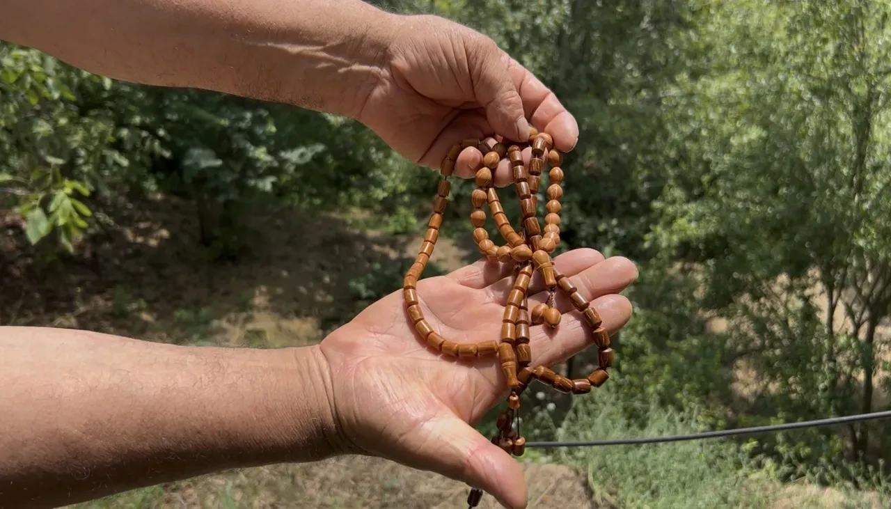 Doğadan topluyor, bin 500 liraya alıcı buluyor! Andız çekirdeğine usta dokunuşu
