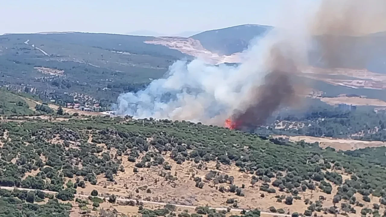 İzmir’de orman yangını! Havadan ve karadan müdahale ediliyor