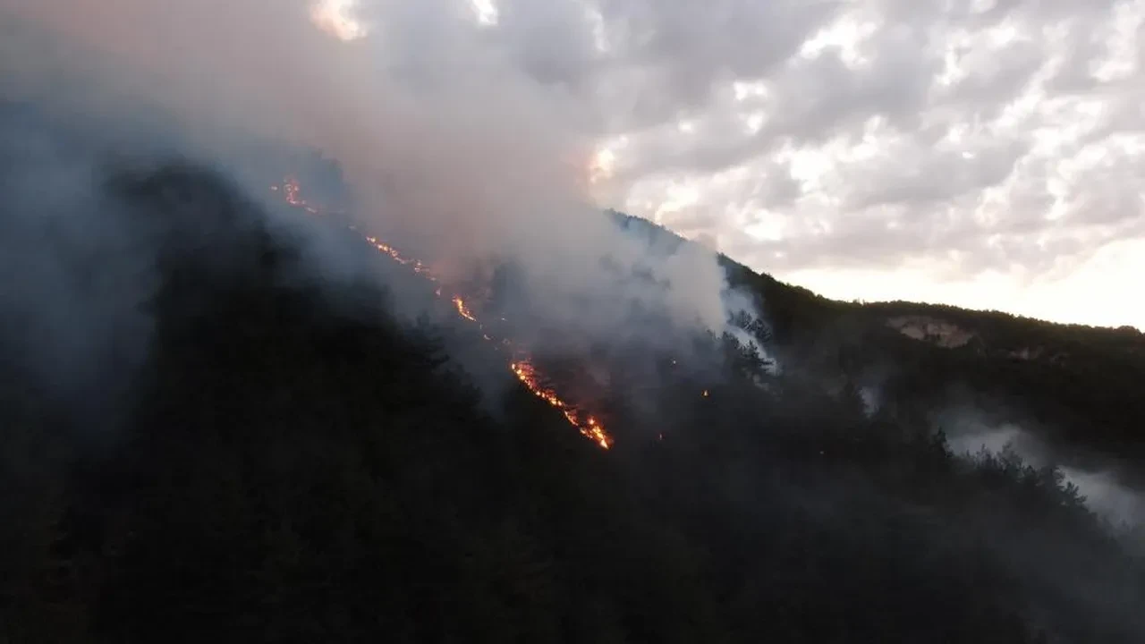Kastamonu'da korkutan yangın! Ahşap evden ormana sıçradı, müdahale sürüyor