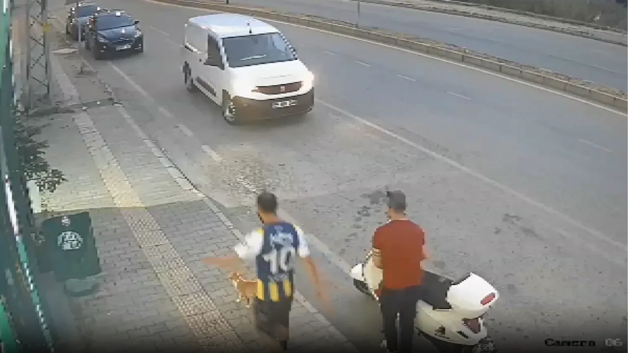 Kediye tekme atıp savurdu! Saldırgan gözaltında