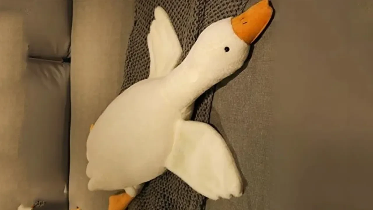 Ticaret Bakanlığı 'peluş kaz' oyuncağı için toplatma kararı aldı: Ciddi tehlikesi var