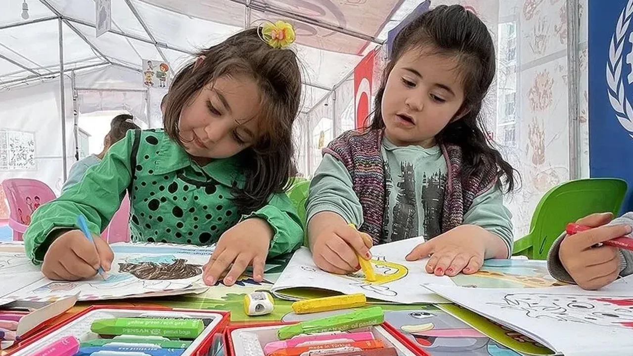 Ticaret Bakanlığı 'peluş kaz' oyuncağı için toplatma kararı aldı: Ciddi tehlikesi var