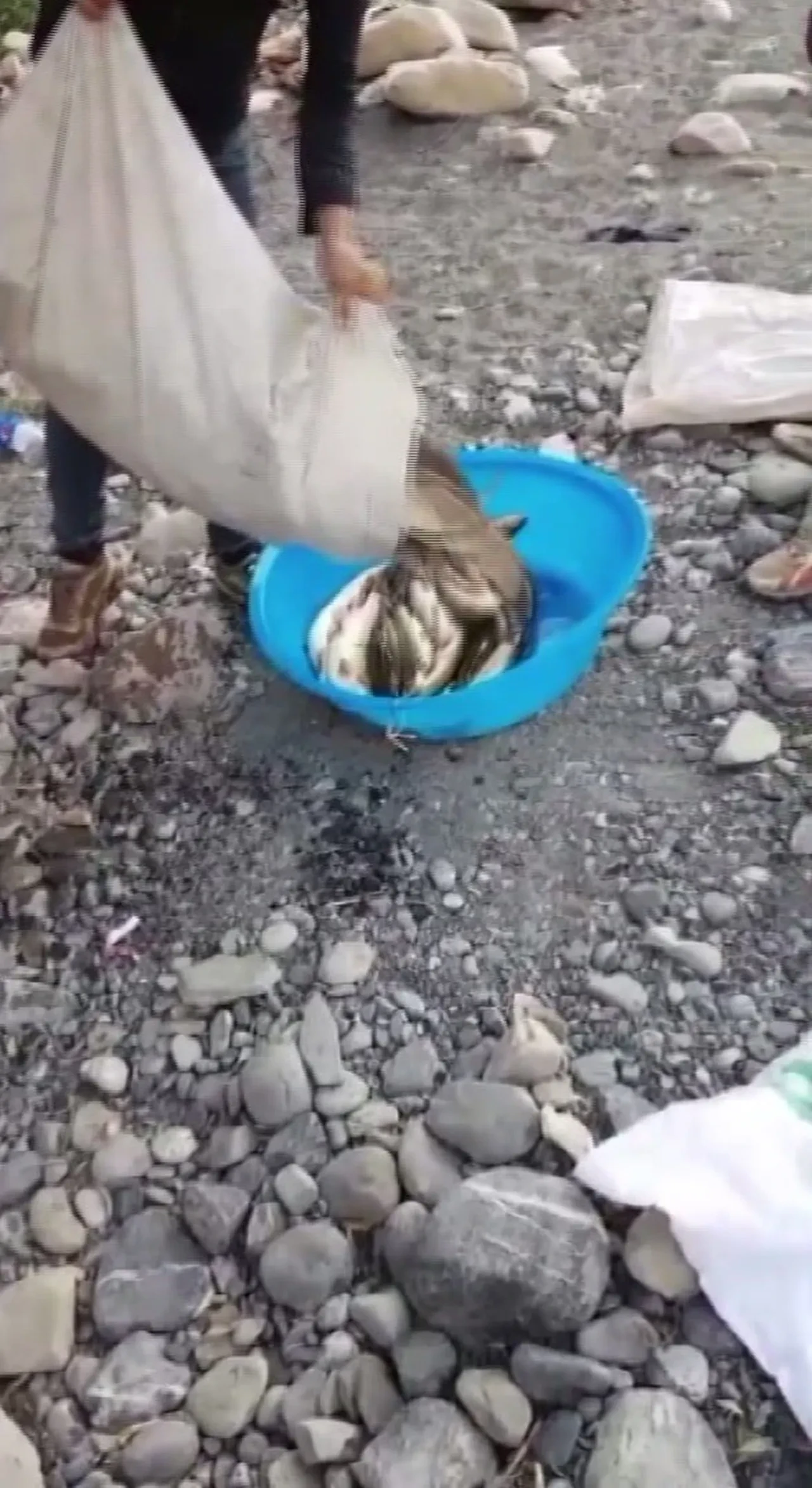 Balık tutarken suya düşen Erkan Sak'tan acı haber