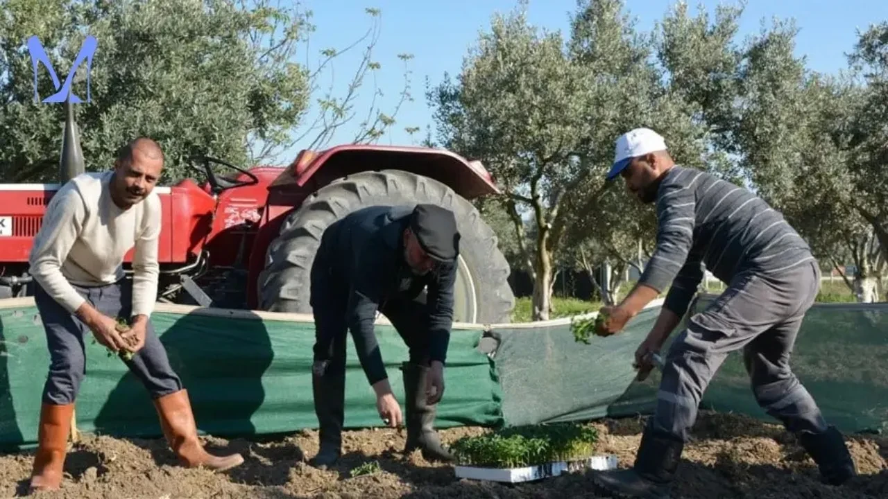 Hüsnü Şenlendirici'den radikal karar! Şehir hayatını terk ederek köye yerleşti