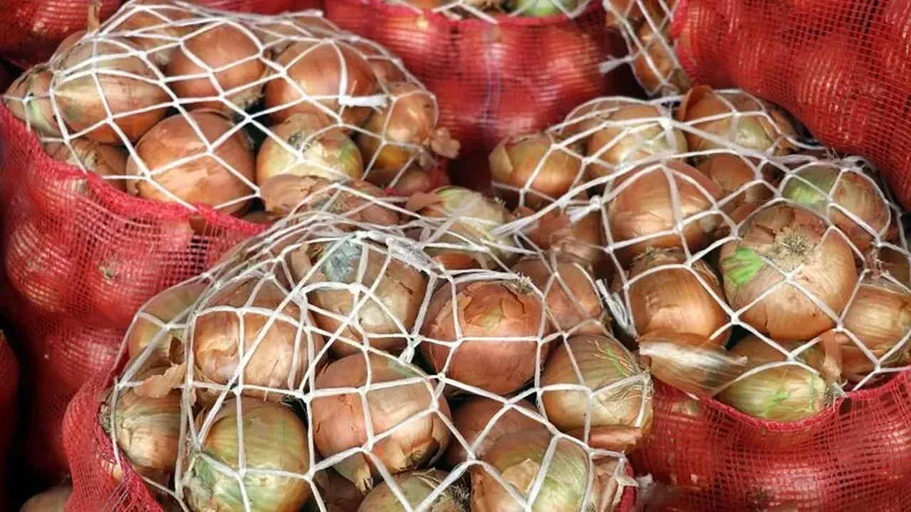 Soğan fiyatları göz yaşartıyor! Kilosu 50 lirayı aştı
