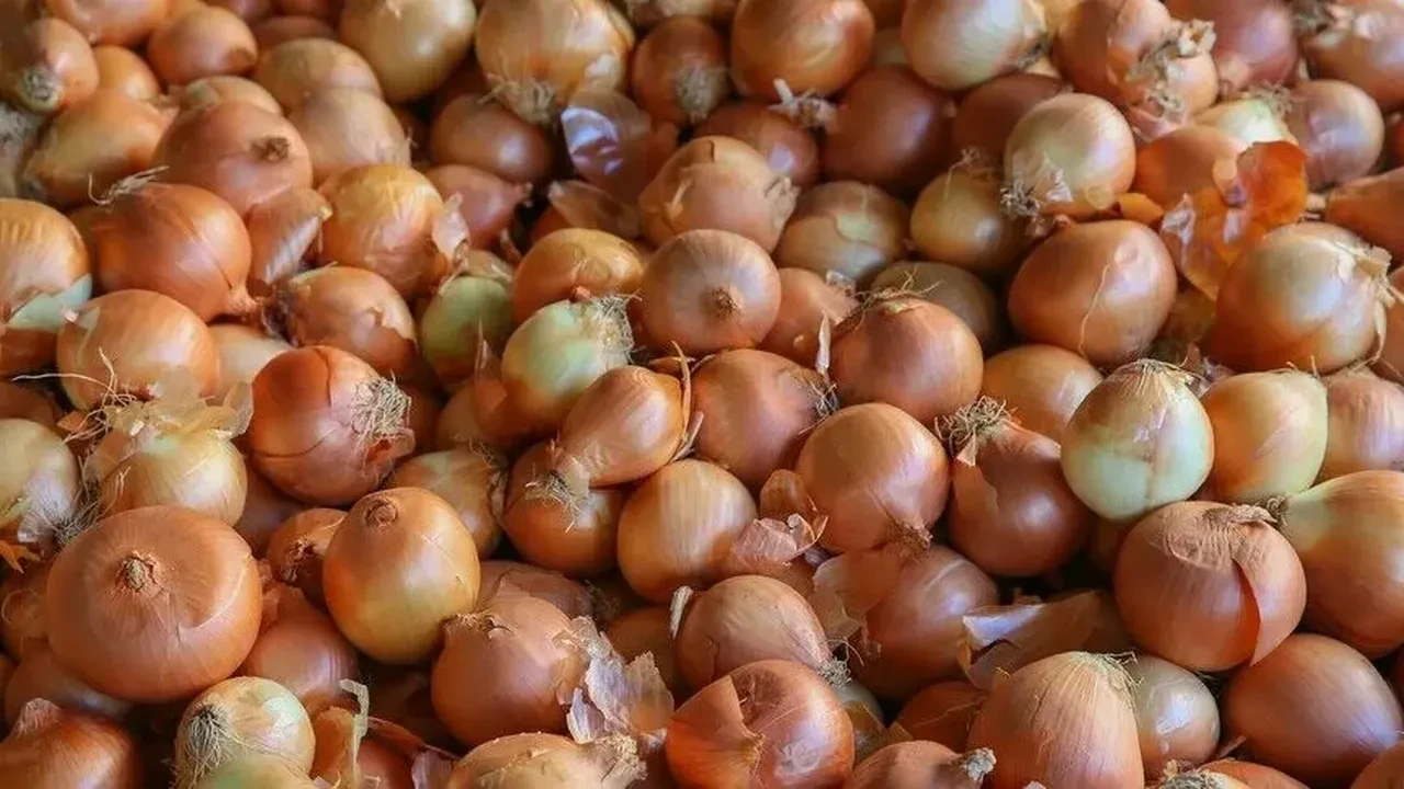 Soğan fiyatları göz yaşartıyor! Kilosu 50 lirayı aştı