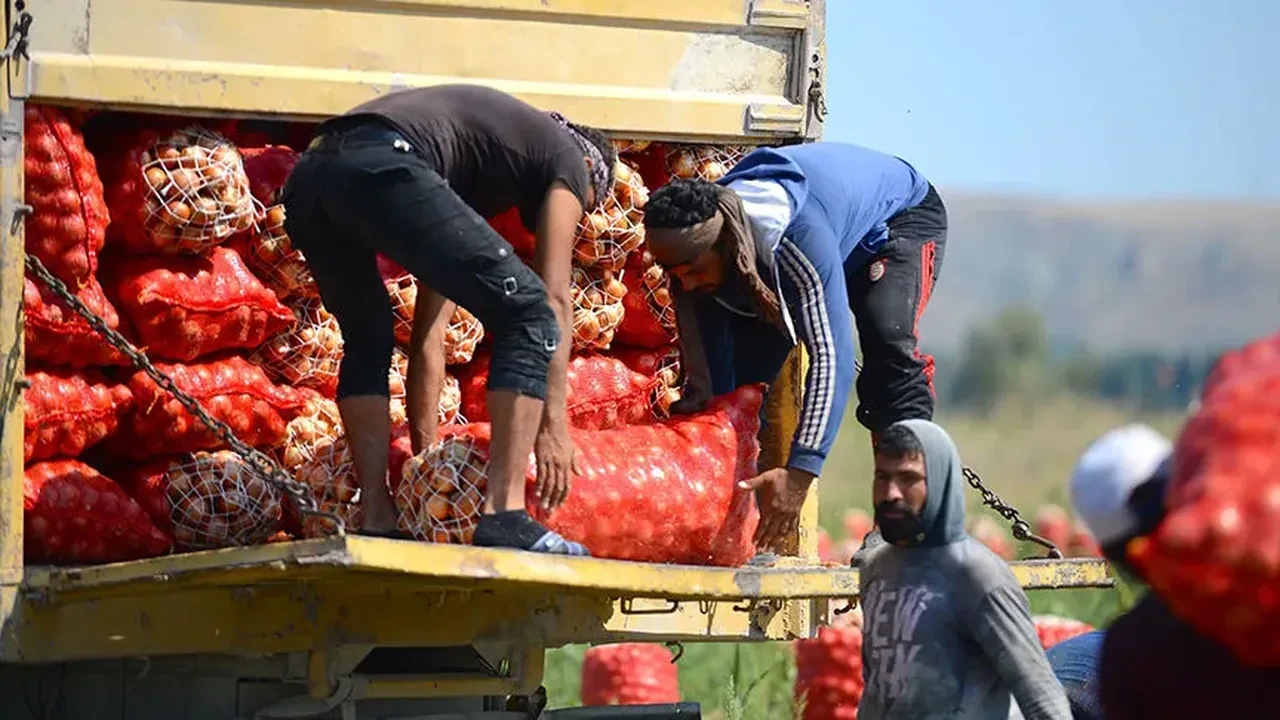 Soğan fiyatları göz yaşartıyor! Kilosu 50 lirayı aştı