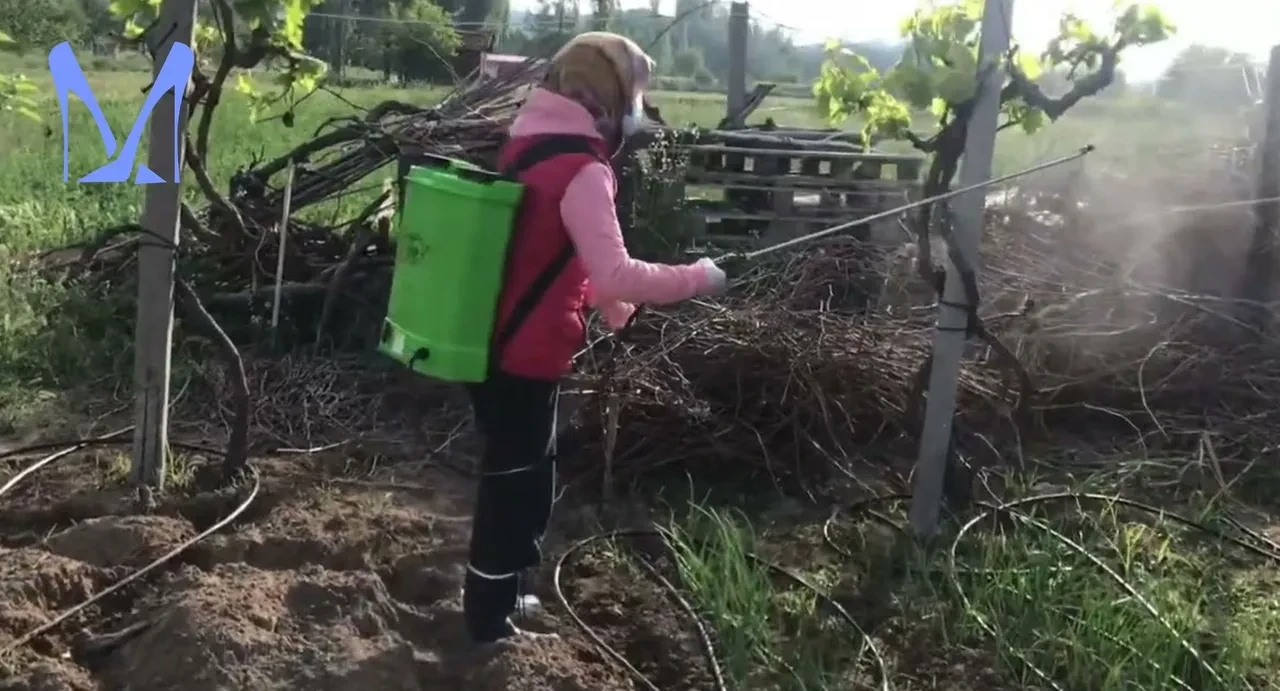 Sokaklardaki yılan sayısı arttı! Uzmanlardan uyarı, yılanlara karşı ne yapılmalı?