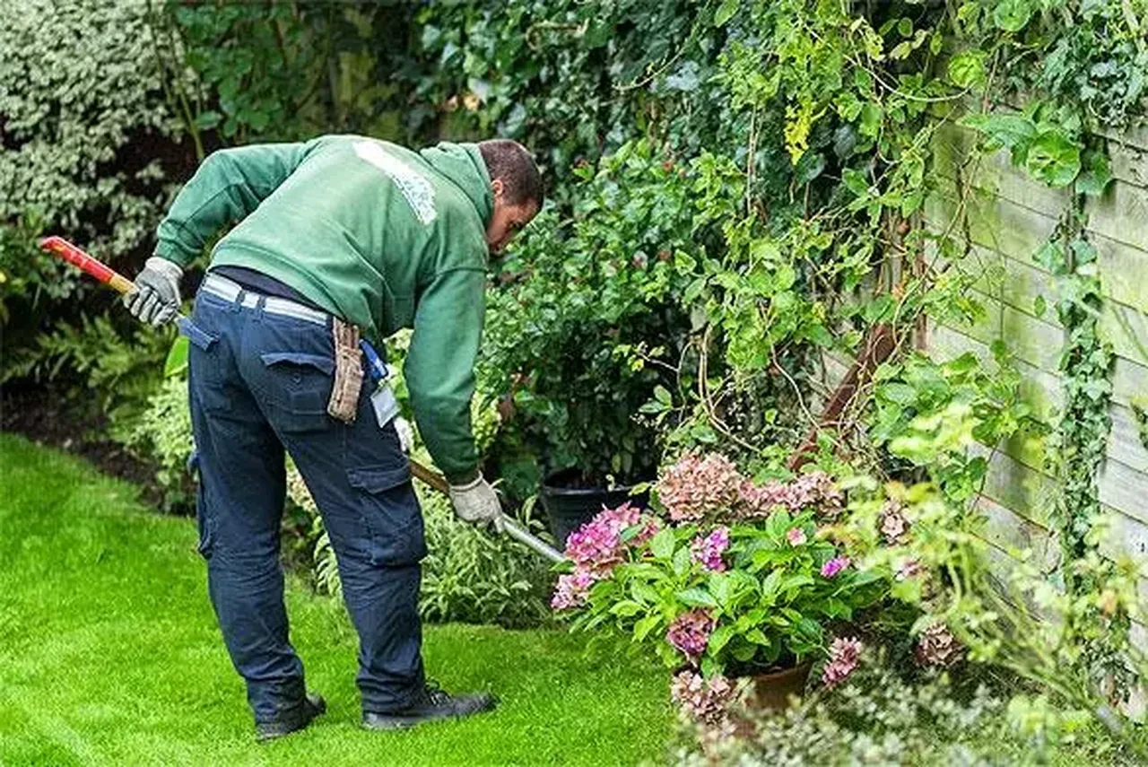 Sokaklardaki yılan sayısı arttı! Uzmanlardan uyarı, yılanlara karşı ne yapılmalı?