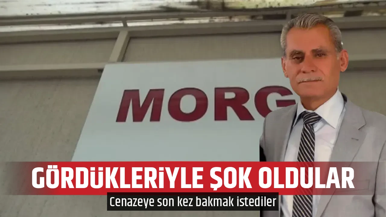 GÖRDÜKLERİYLE ŞOK OLDULAR