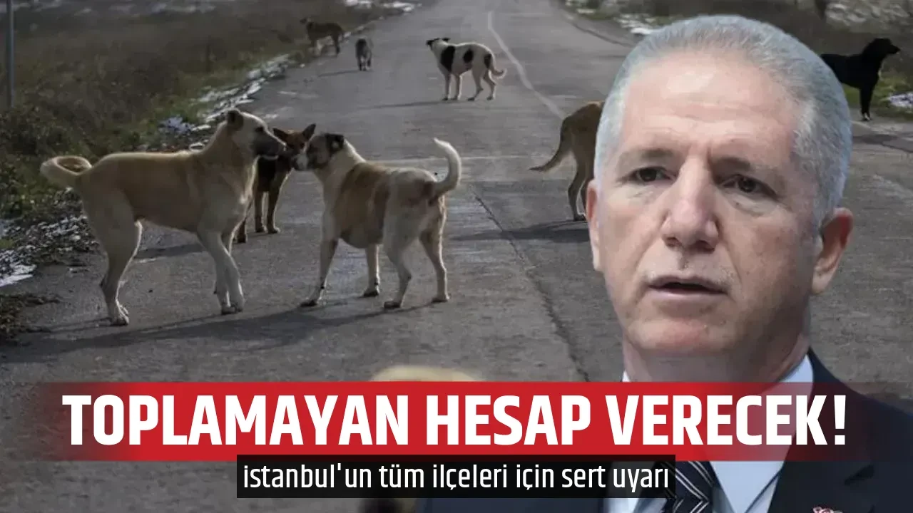 TOPLAMAYAN HESAP VERECEK!
