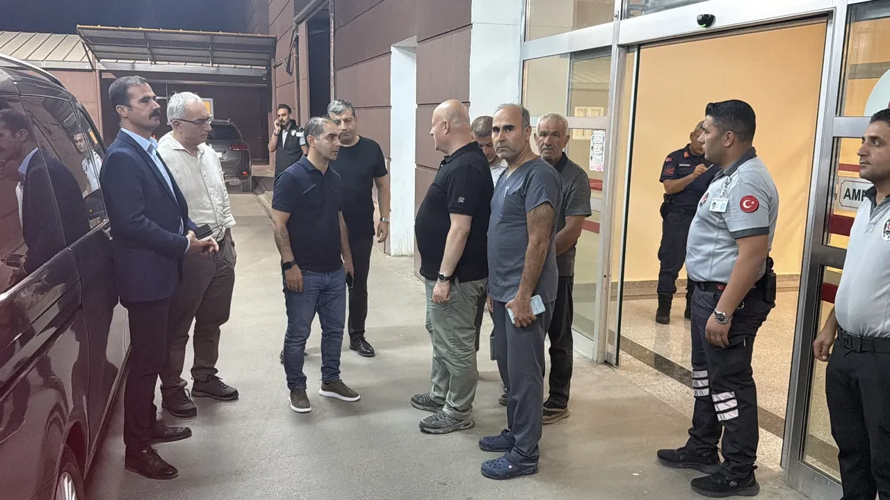 Yaz haşereleriyle mücadele için ilaçlama yaptılar, 26 kişi zehirlendi