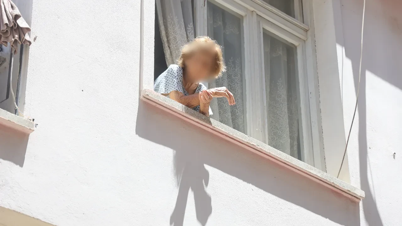Fotoğraf