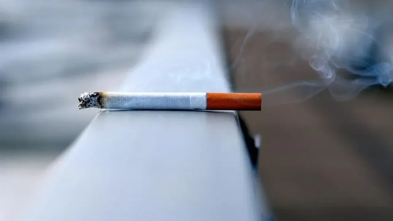 Fransa'dan radikal 