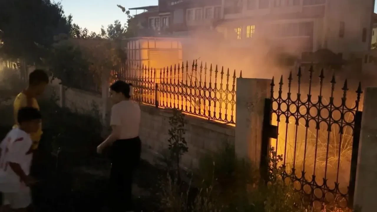 Fotoğraf