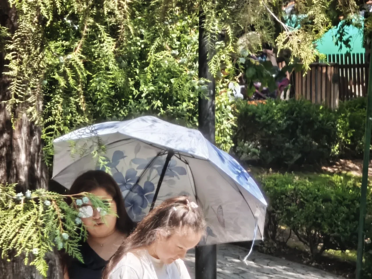 AKOM İstanbul'u uyardı! Yaz ortasında kavurucu sıcaklara mola: 5 gün boyunca yağacak