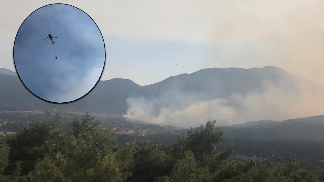 Antalya'da orman yangını! Alevler kontrol altına alındı