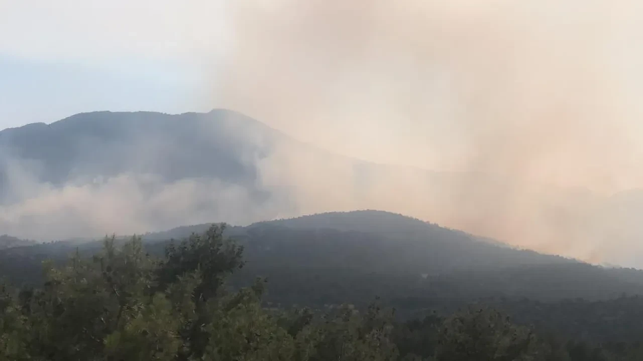 Antalya'da orman yangını! Alevler kontrol altına alındı