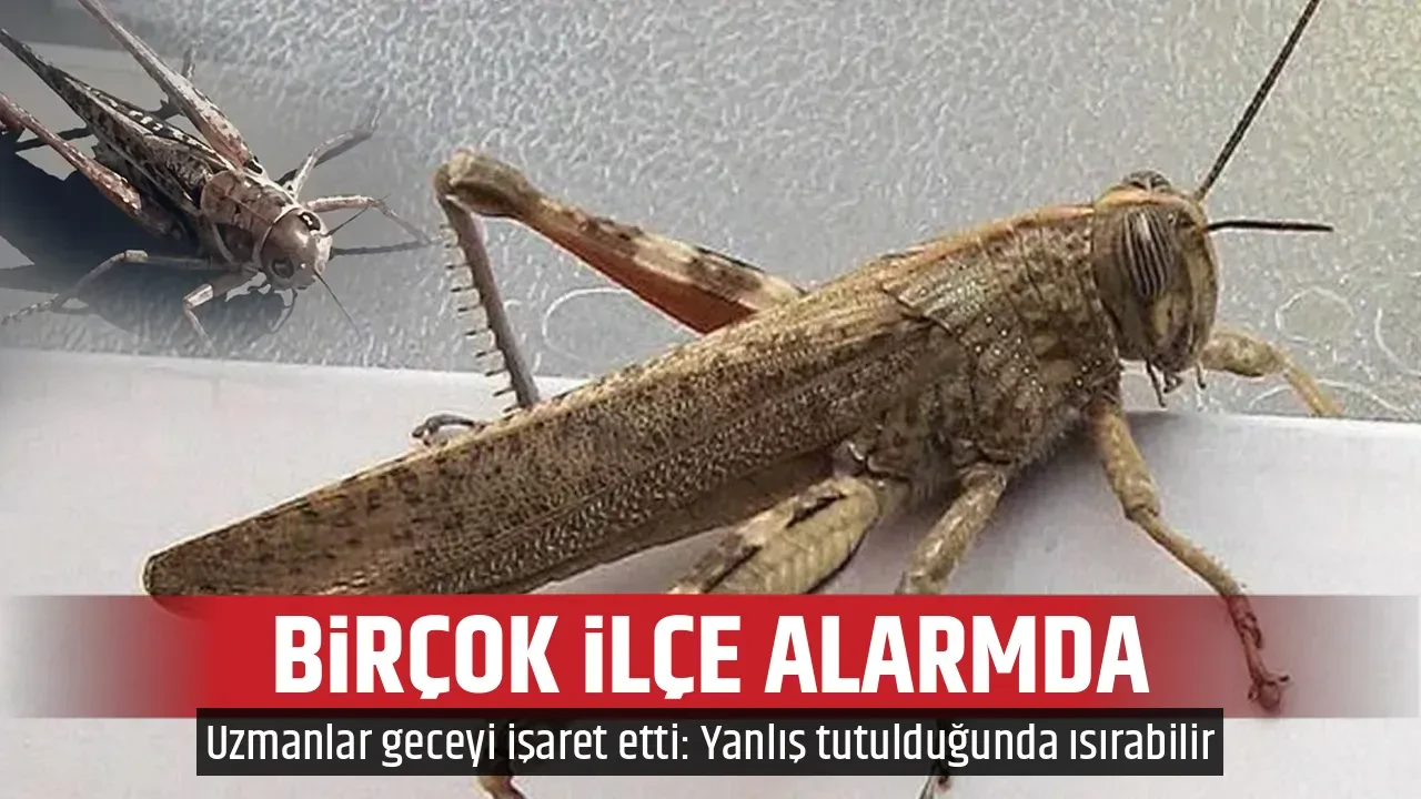 BİRÇOK İLÇE ALARMDA