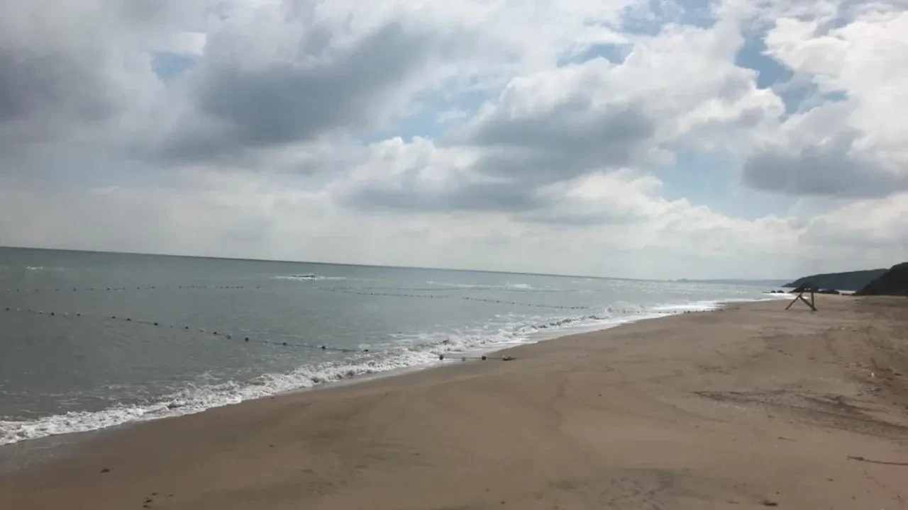 İstanbul'un deniz suyu en temiz plajları belli oldu: İşte gönül rahatlığıyla yüzebileceğiniz 67 lokasyon