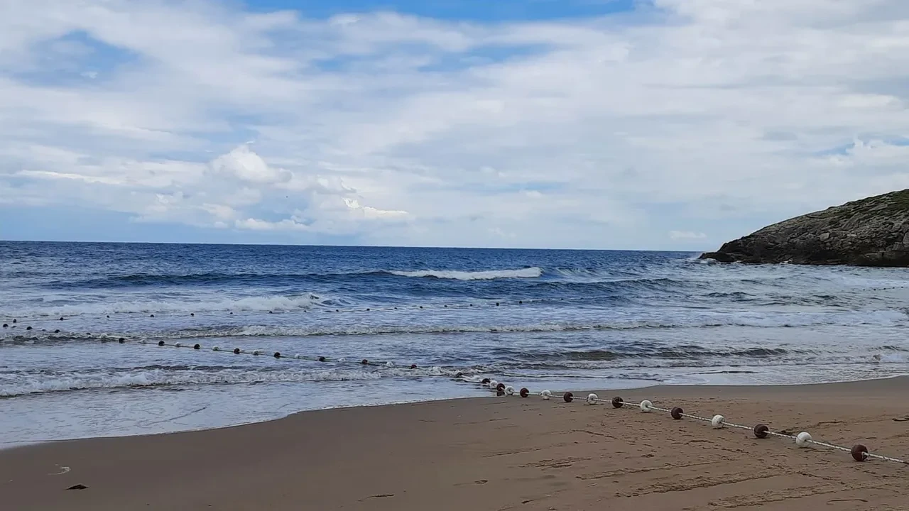 İstanbul'un deniz suyu en temiz plajları belli oldu: İşte gönül rahatlığıyla yüzebileceğiniz 67 lokasyon