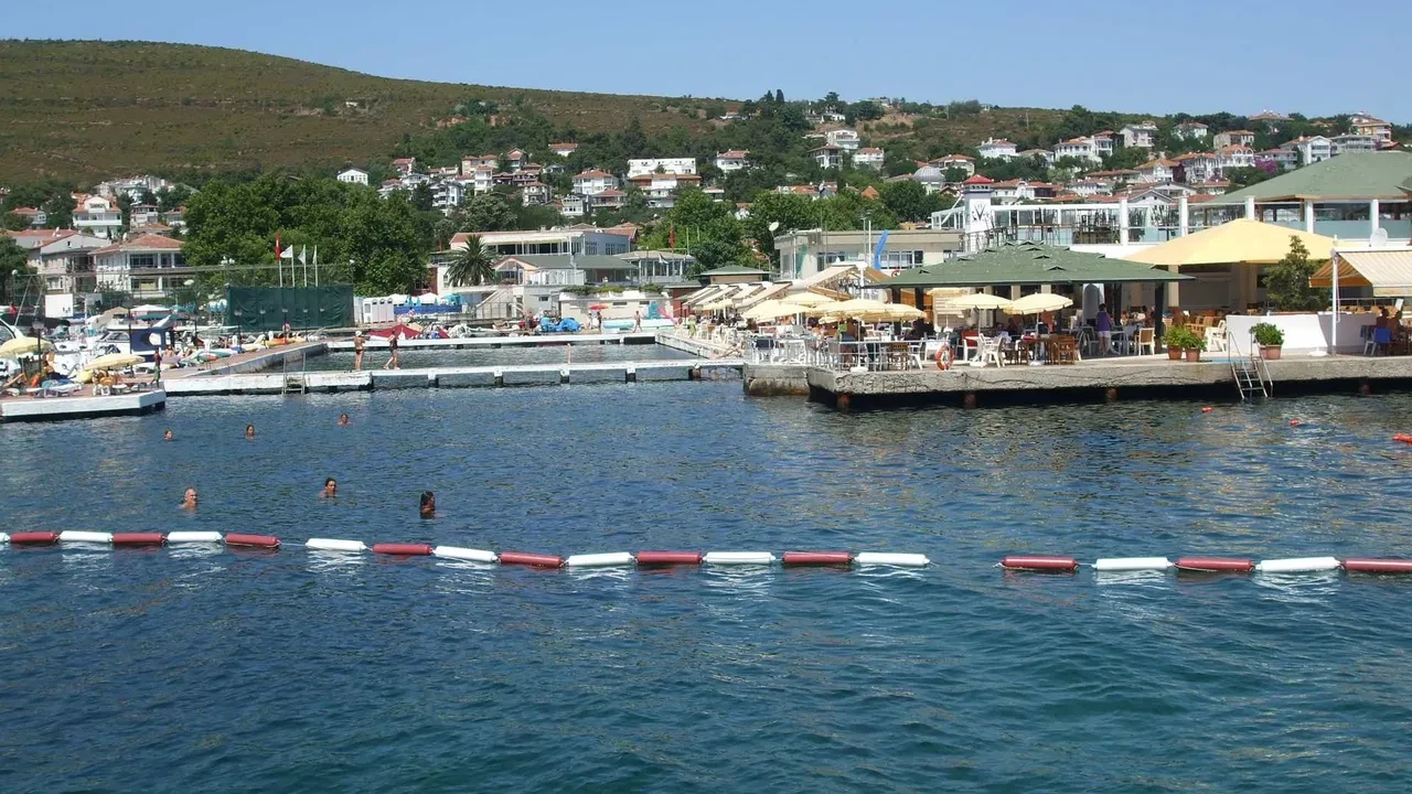 İstanbul'un deniz suyu en temiz plajları belli oldu: İşte gönül rahatlığıyla yüzebileceğiniz 67 lokasyon