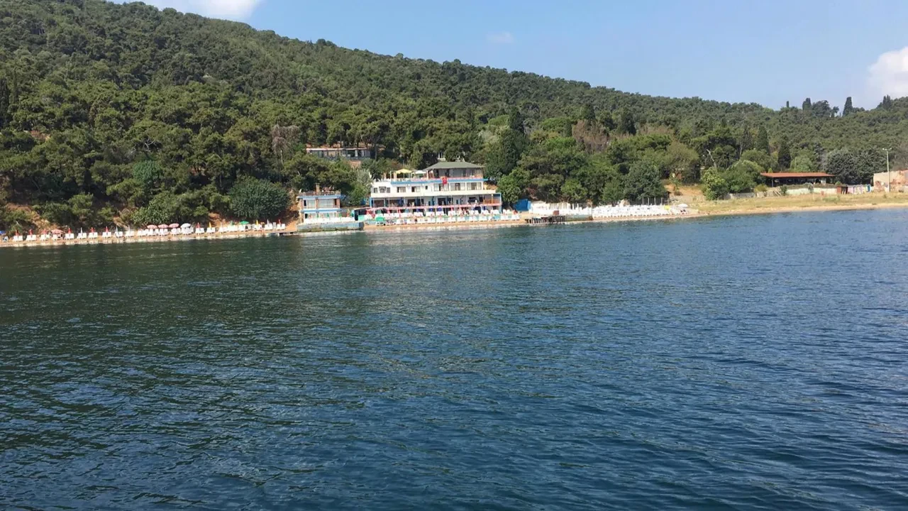 İstanbul'un deniz suyu en temiz plajları belli oldu: İşte gönül rahatlığıyla yüzebileceğiniz 67 lokasyon