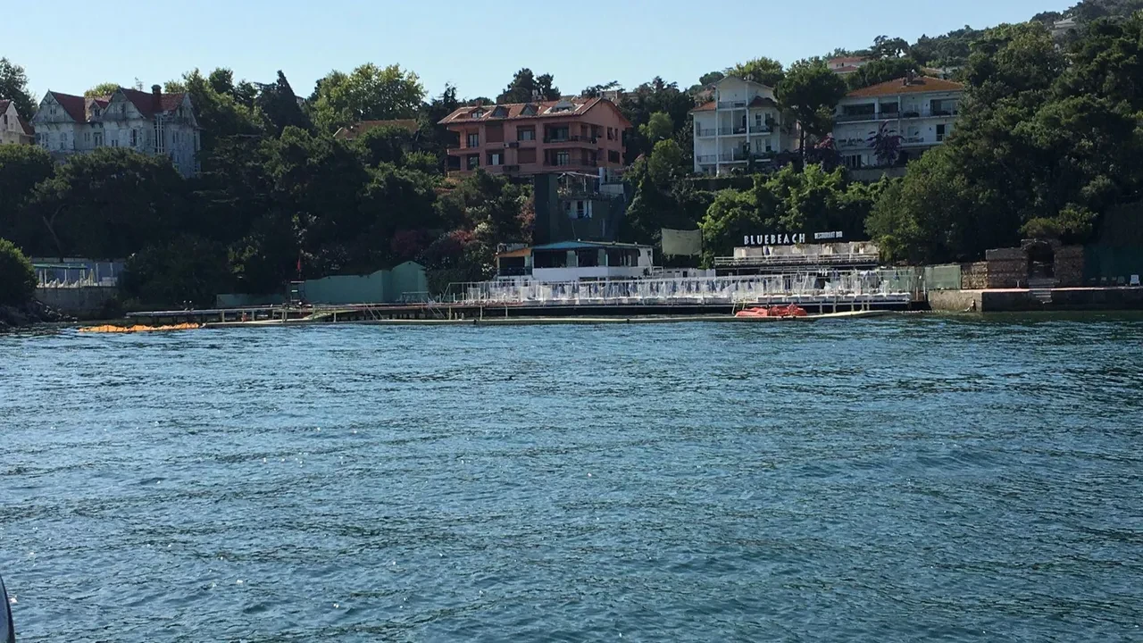 İstanbul'un deniz suyu en temiz plajları belli oldu: İşte gönül rahatlığıyla yüzebileceğiniz 67 lokasyon