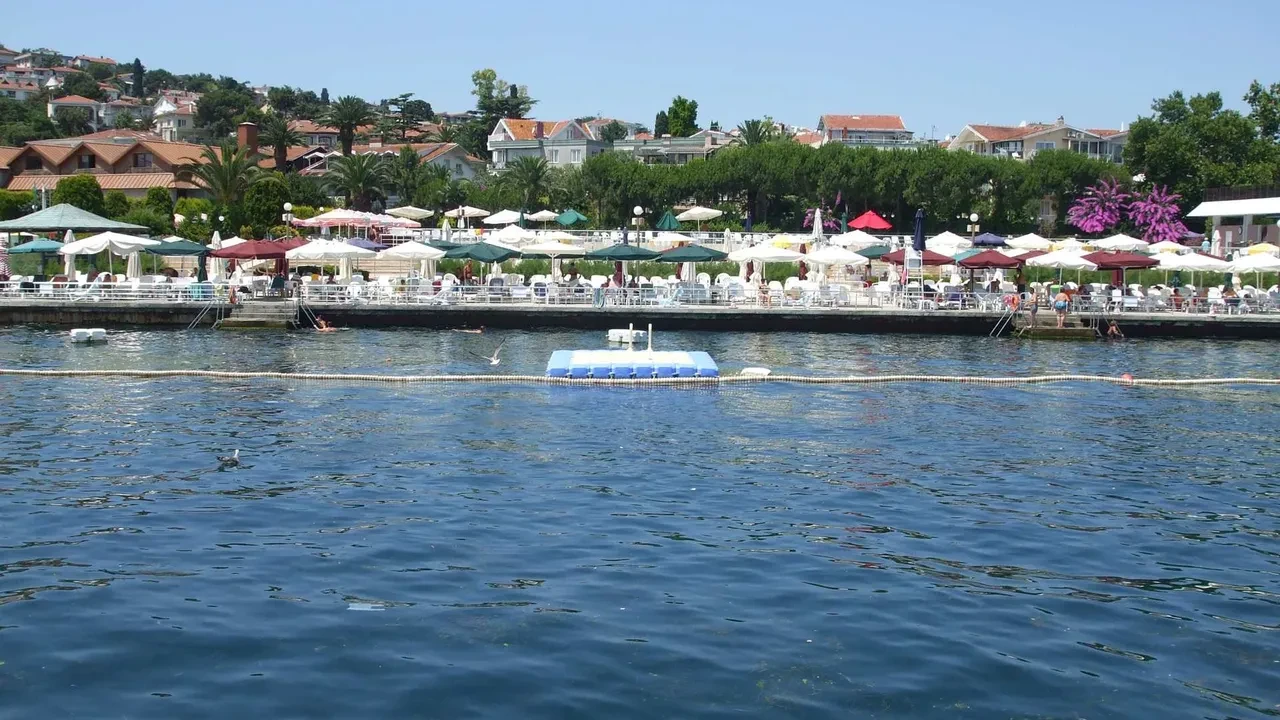 İstanbul'un deniz suyu en temiz plajları belli oldu: İşte gönül rahatlığıyla yüzebileceğiniz 67 lokasyon