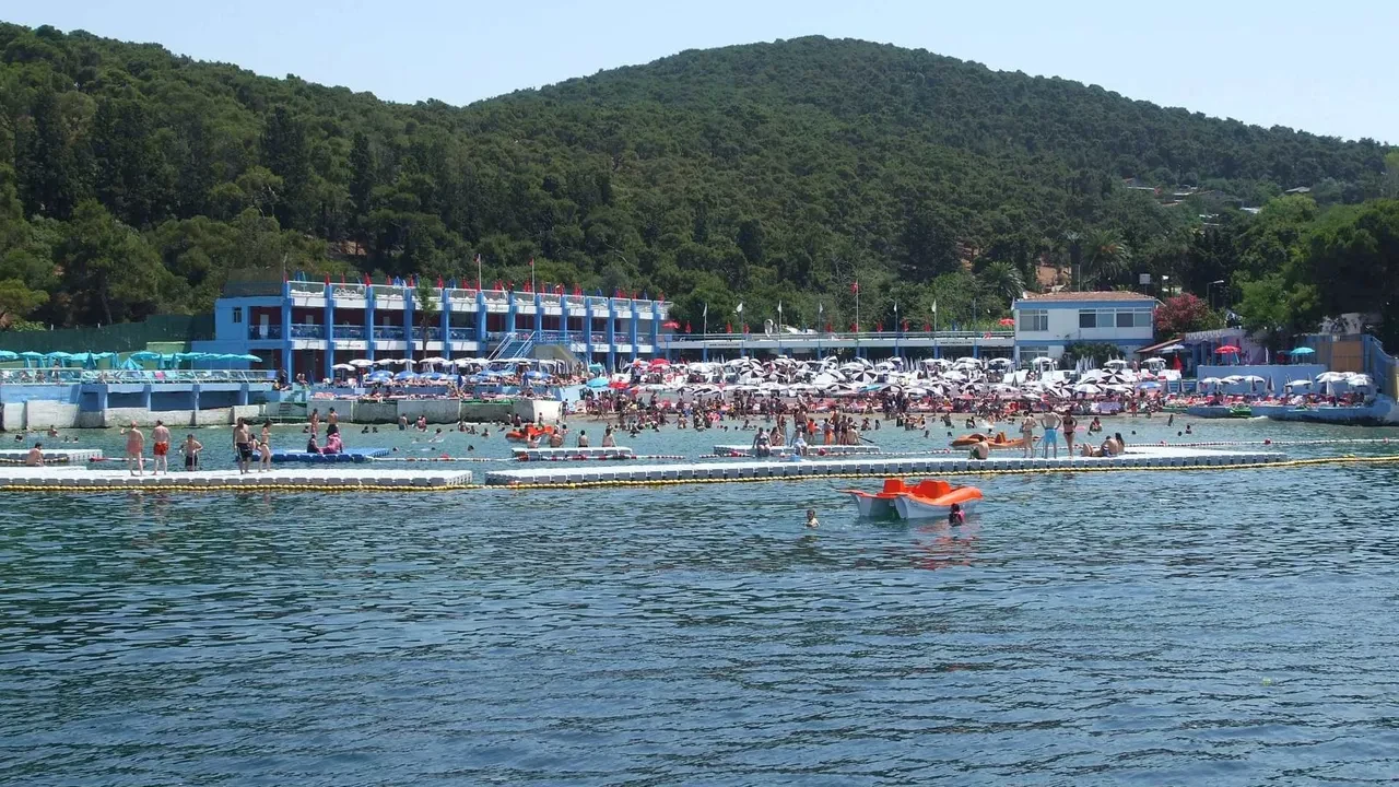 İstanbul'un deniz suyu en temiz plajları belli oldu: İşte gönül rahatlığıyla yüzebileceğiniz 67 lokasyon