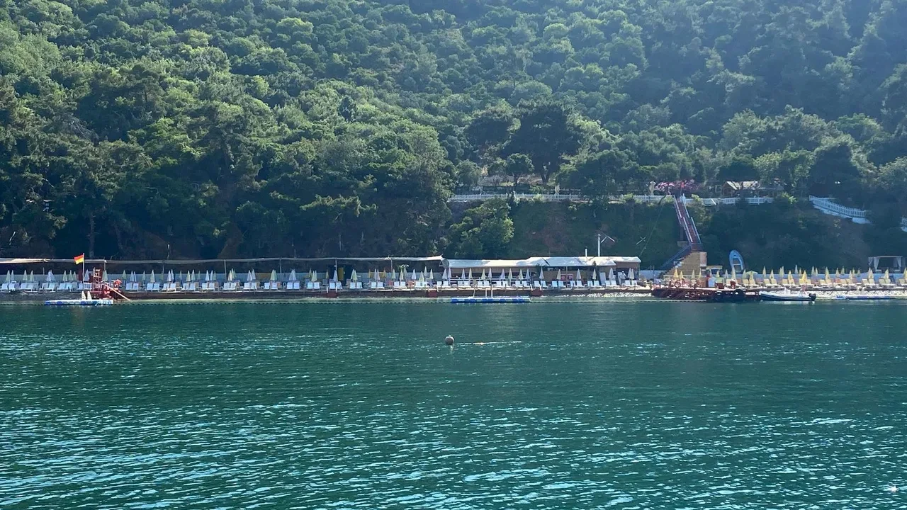 İstanbul'un deniz suyu en temiz plajları belli oldu: İşte gönül rahatlığıyla yüzebileceğiniz 67 lokasyon