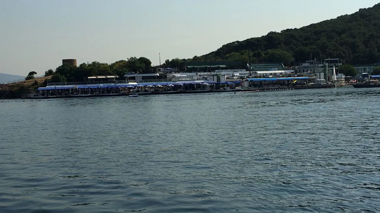İstanbul'un deniz suyu en temiz plajları belli oldu: İşte gönül rahatlığıyla yüzebileceğiniz 67 lokasyon