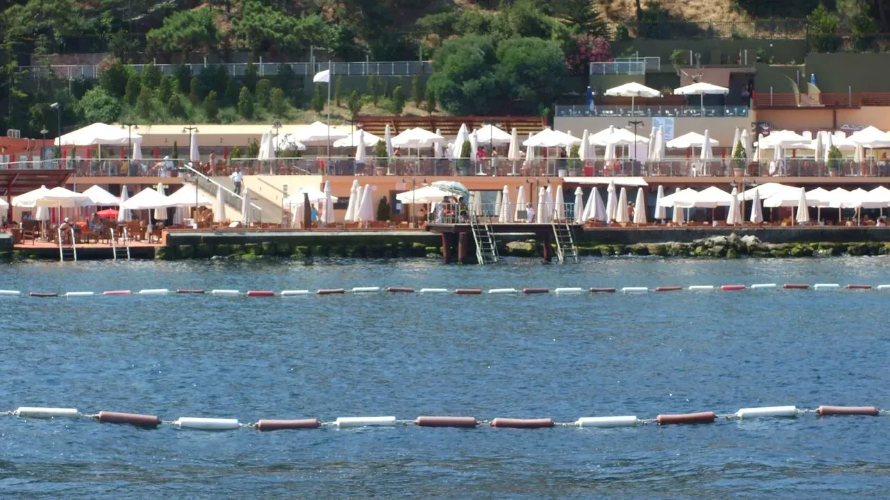 İstanbul'un deniz suyu en temiz plajları belli oldu: İşte gönül rahatlığıyla yüzebileceğiniz 67 lokasyon