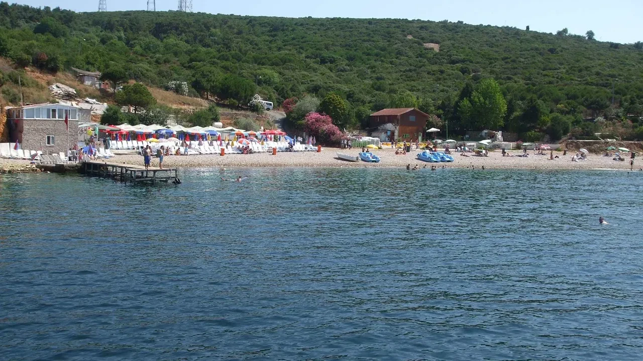 İstanbul'un deniz suyu en temiz plajları belli oldu: İşte gönül rahatlığıyla yüzebileceğiniz 67 lokasyon