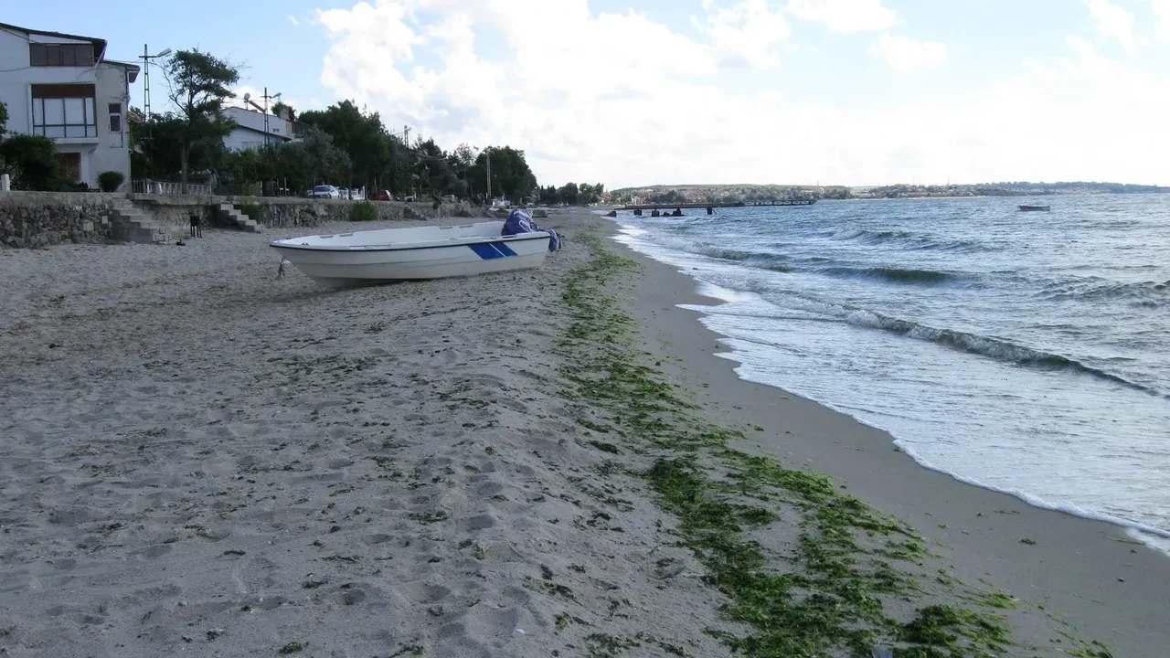 İstanbul'un deniz suyu en temiz plajları belli oldu: İşte gönül rahatlığıyla yüzebileceğiniz 67 lokasyon