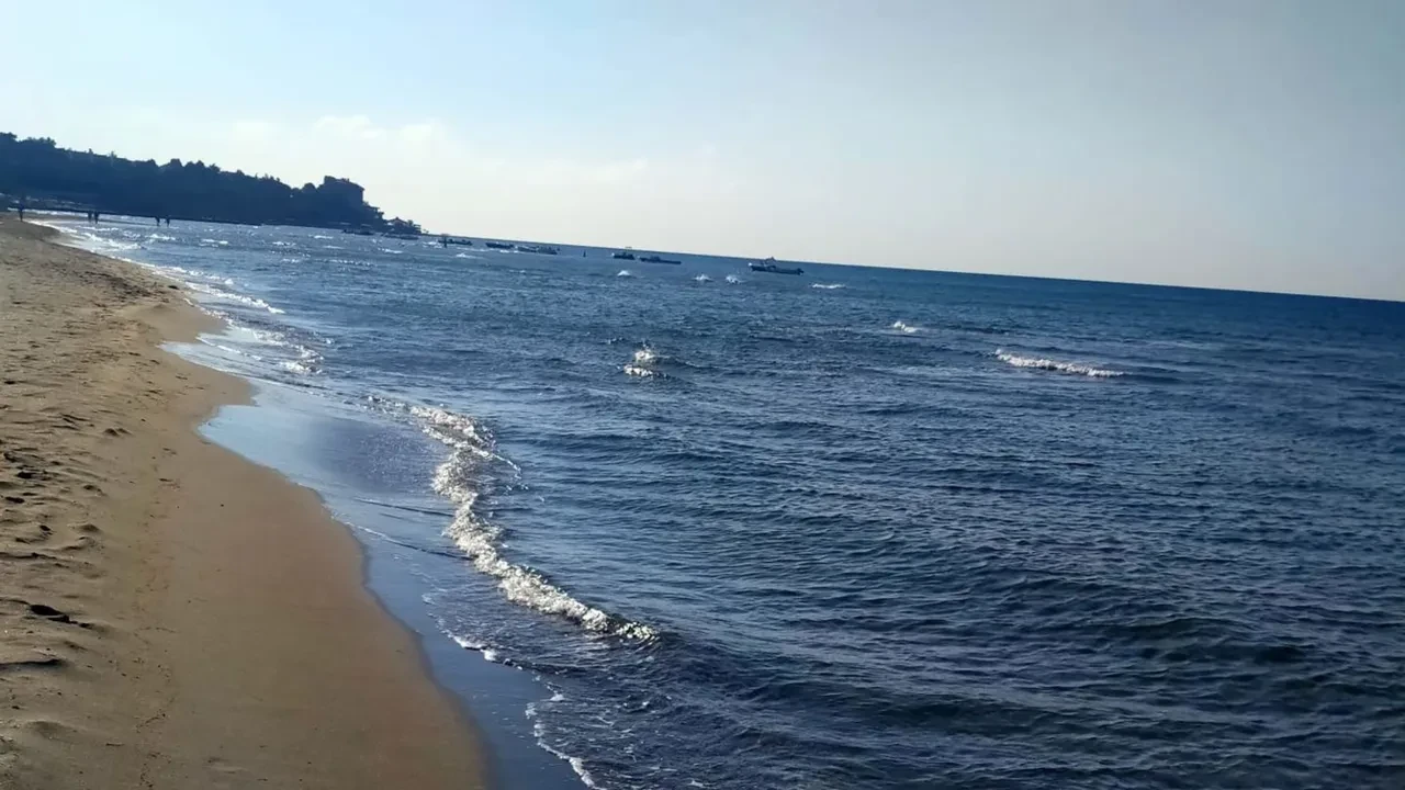 İstanbul'un deniz suyu en temiz plajları belli oldu: İşte gönül rahatlığıyla yüzebileceğiniz 67 lokasyon