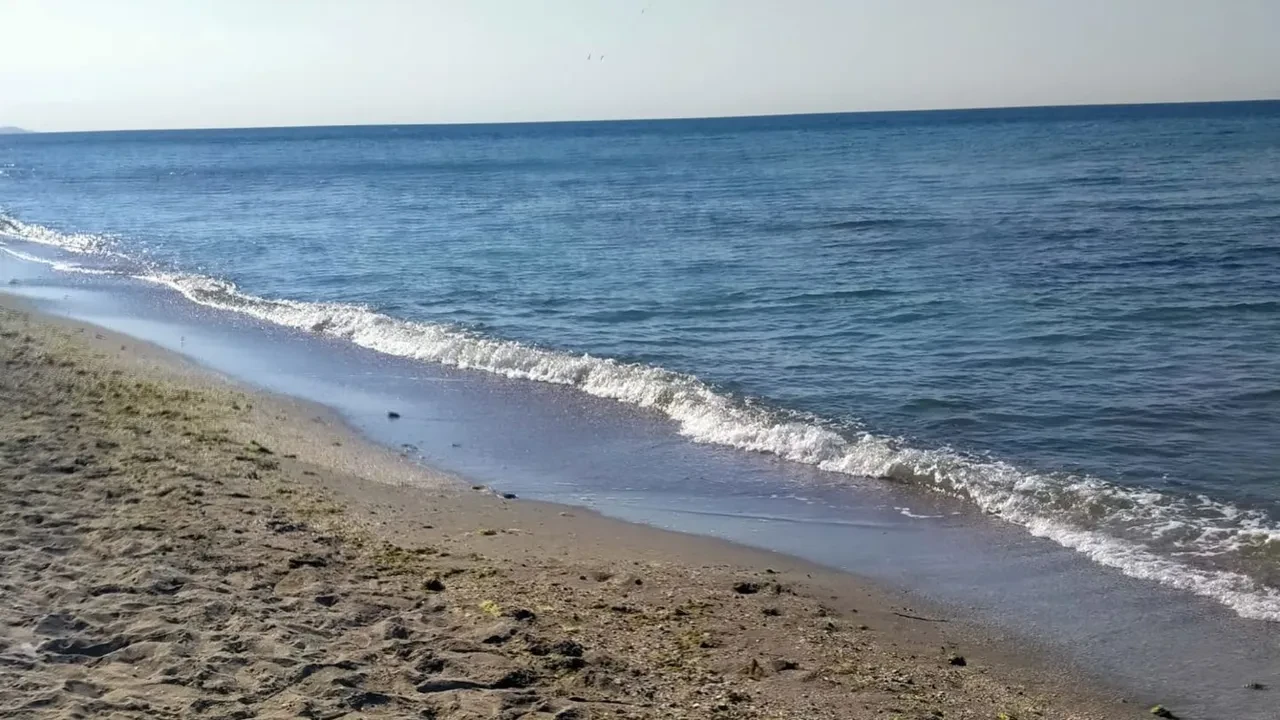 İstanbul'un deniz suyu en temiz plajları belli oldu: İşte gönül rahatlığıyla yüzebileceğiniz 67 lokasyon