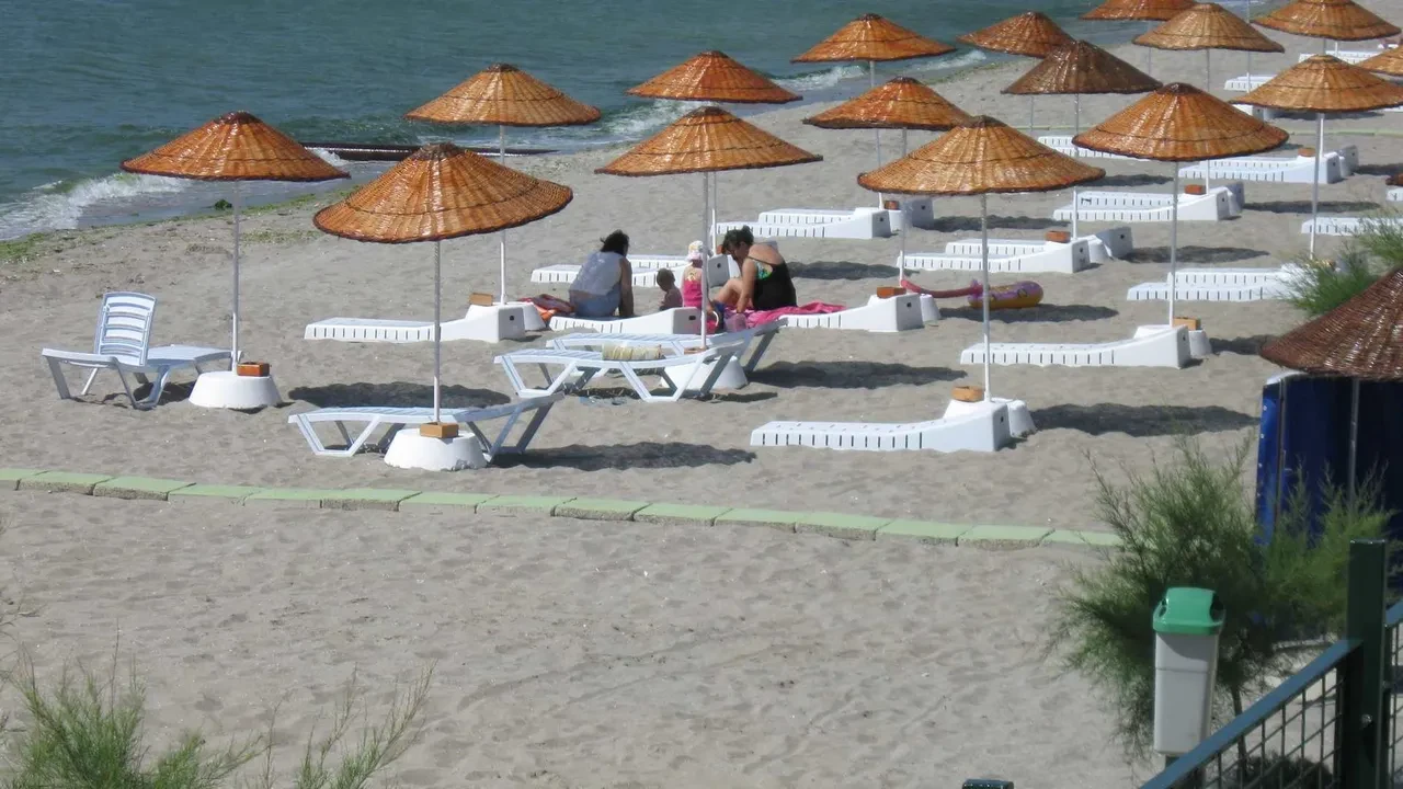 İstanbul'un deniz suyu en temiz plajları belli oldu: İşte gönül rahatlığıyla yüzebileceğiniz 67 lokasyon