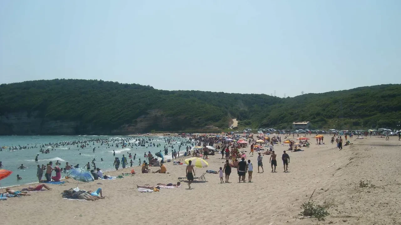 İstanbul'un deniz suyu en temiz plajları belli oldu: İşte gönül rahatlığıyla yüzebileceğiniz 67 lokasyon