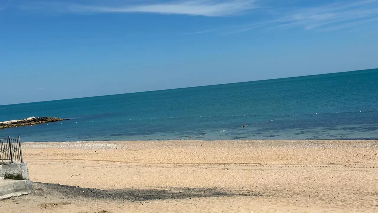 İstanbul'un deniz suyu en temiz plajları belli oldu: İşte gönül rahatlığıyla yüzebileceğiniz 67 lokasyon