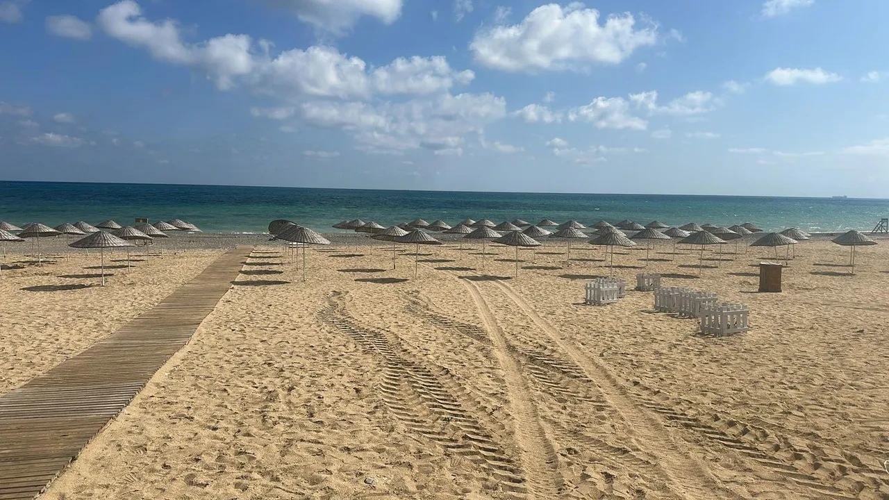 İstanbul'un deniz suyu en temiz plajları belli oldu: İşte gönül rahatlığıyla yüzebileceğiniz 67 lokasyon