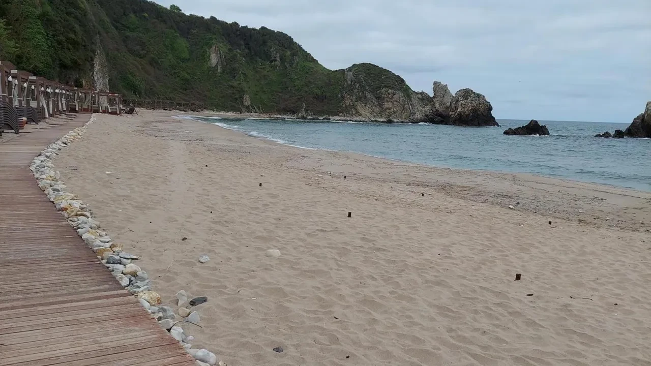 İstanbul'un deniz suyu en temiz plajları belli oldu: İşte gönül rahatlığıyla yüzebileceğiniz 67 lokasyon