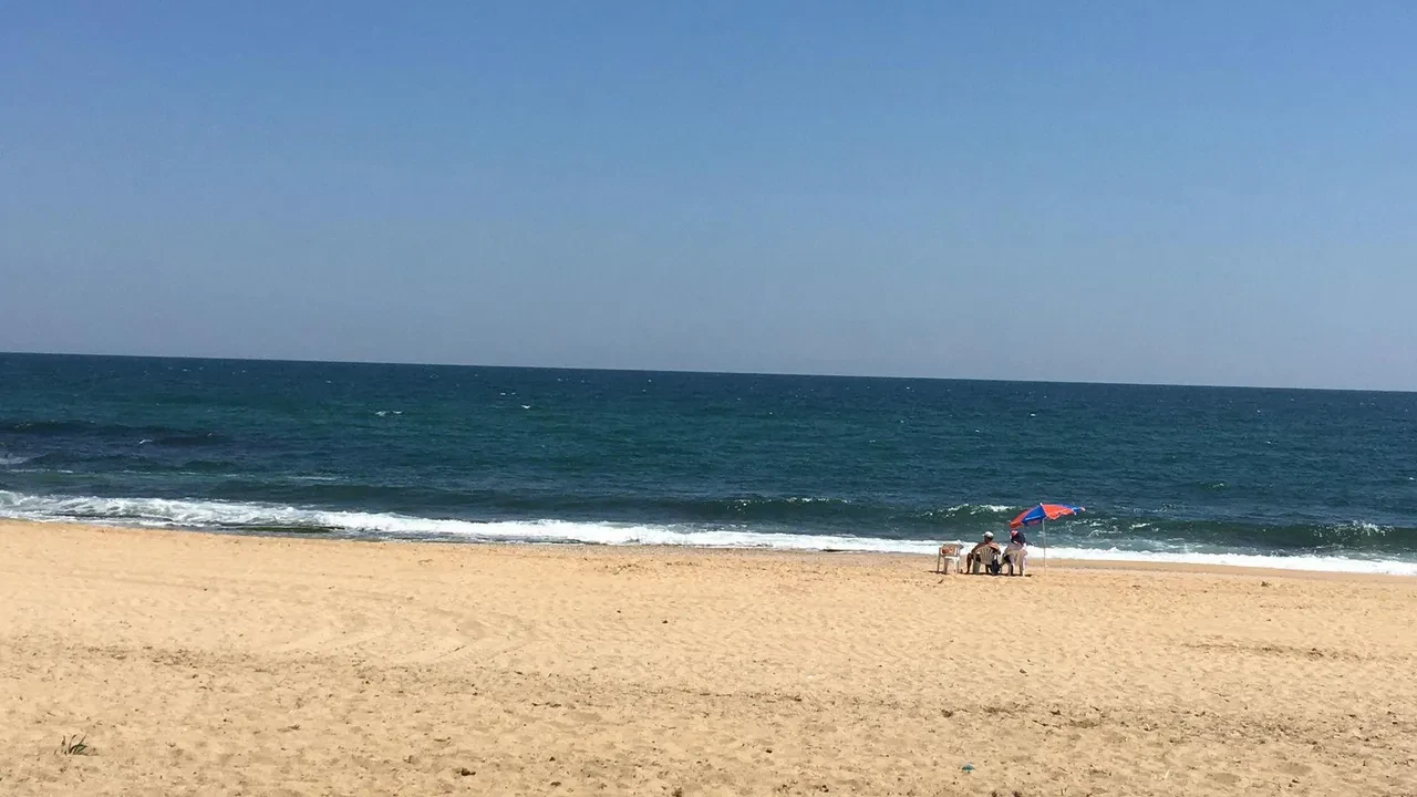 İstanbul'un deniz suyu en temiz plajları belli oldu: İşte gönül rahatlığıyla yüzebileceğiniz 67 lokasyon