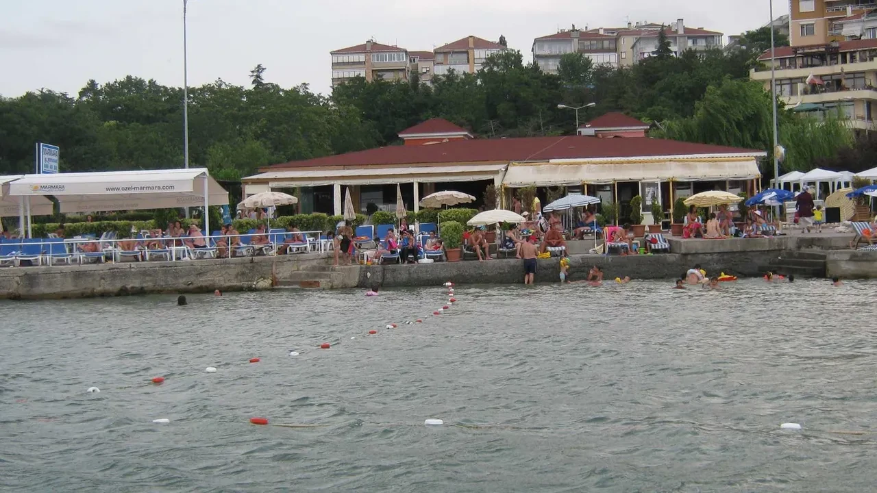 İstanbul'un deniz suyu en temiz plajları belli oldu: İşte gönül rahatlığıyla yüzebileceğiniz 67 lokasyon