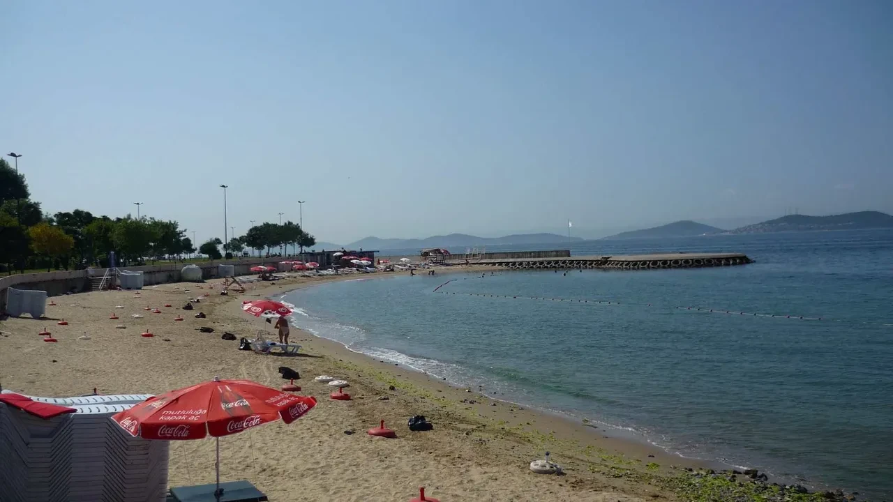 İstanbul'un deniz suyu en temiz plajları belli oldu: İşte gönül rahatlığıyla yüzebileceğiniz 67 lokasyon