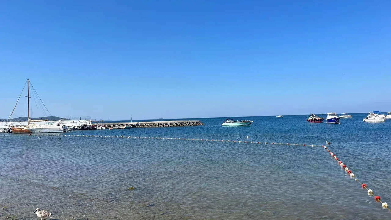 İstanbul'un deniz suyu en temiz plajları belli oldu: İşte gönül rahatlığıyla yüzebileceğiniz 67 lokasyon