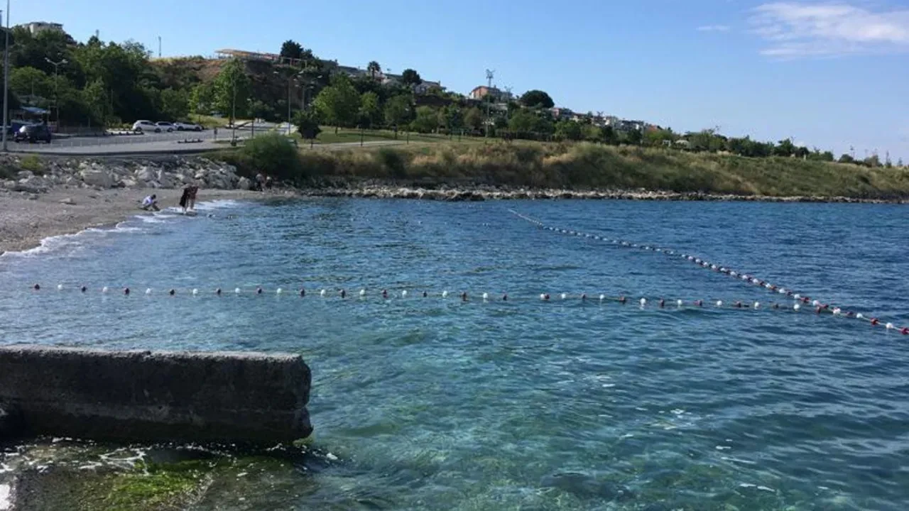İstanbul'un deniz suyu en temiz plajları belli oldu: İşte gönül rahatlığıyla yüzebileceğiniz 67 lokasyon