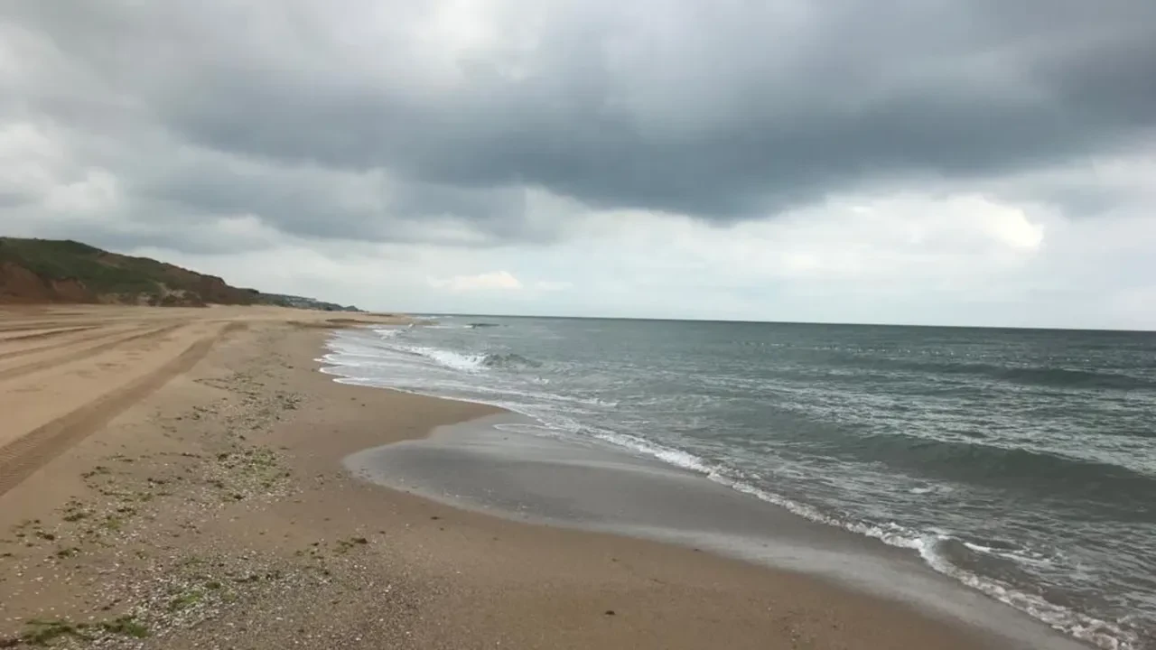 İstanbul'un deniz suyu en temiz plajları belli oldu: İşte gönül rahatlığıyla yüzebileceğiniz 67 lokasyon